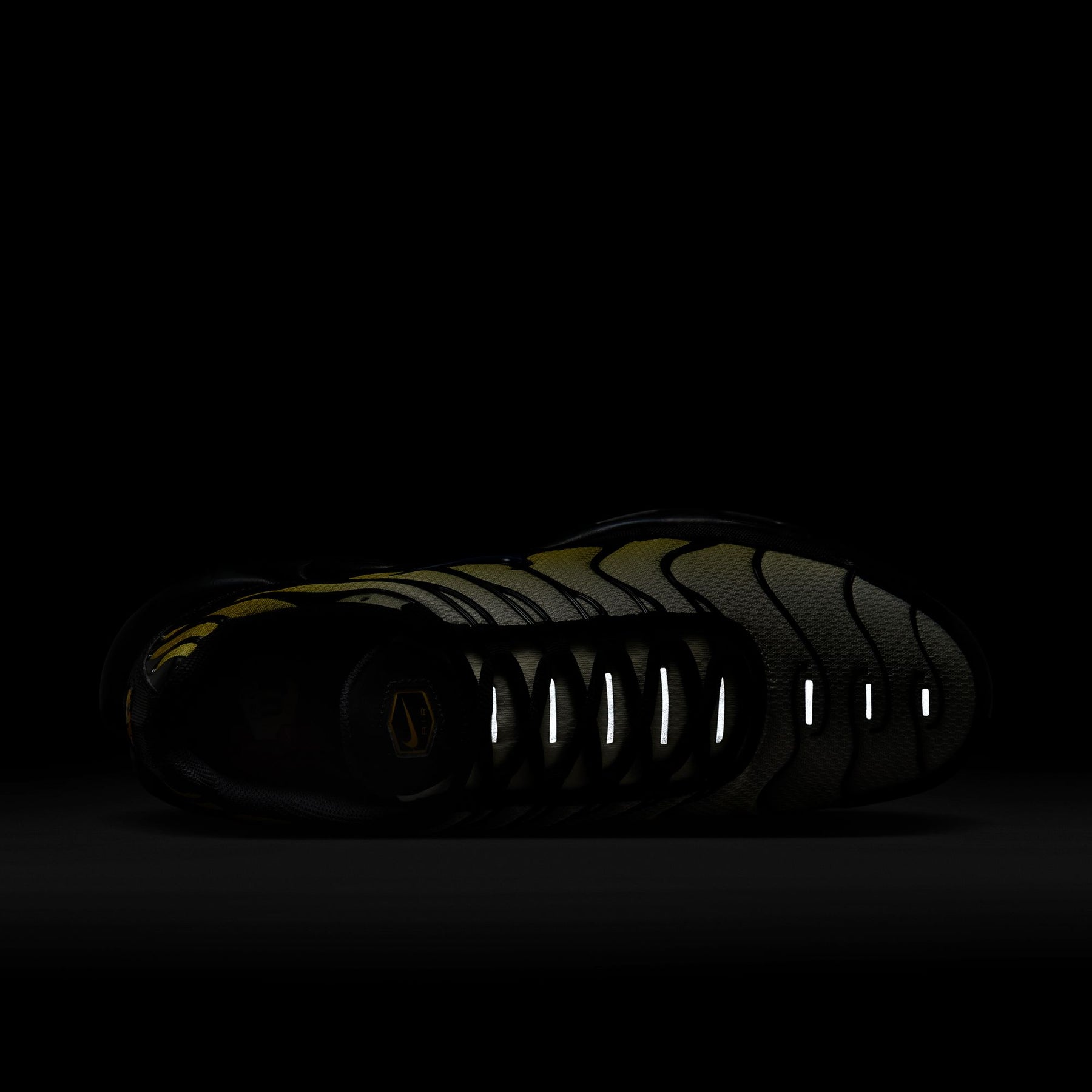 Giày Thể Thao Thời Trang Nam Nike Air Max Plus