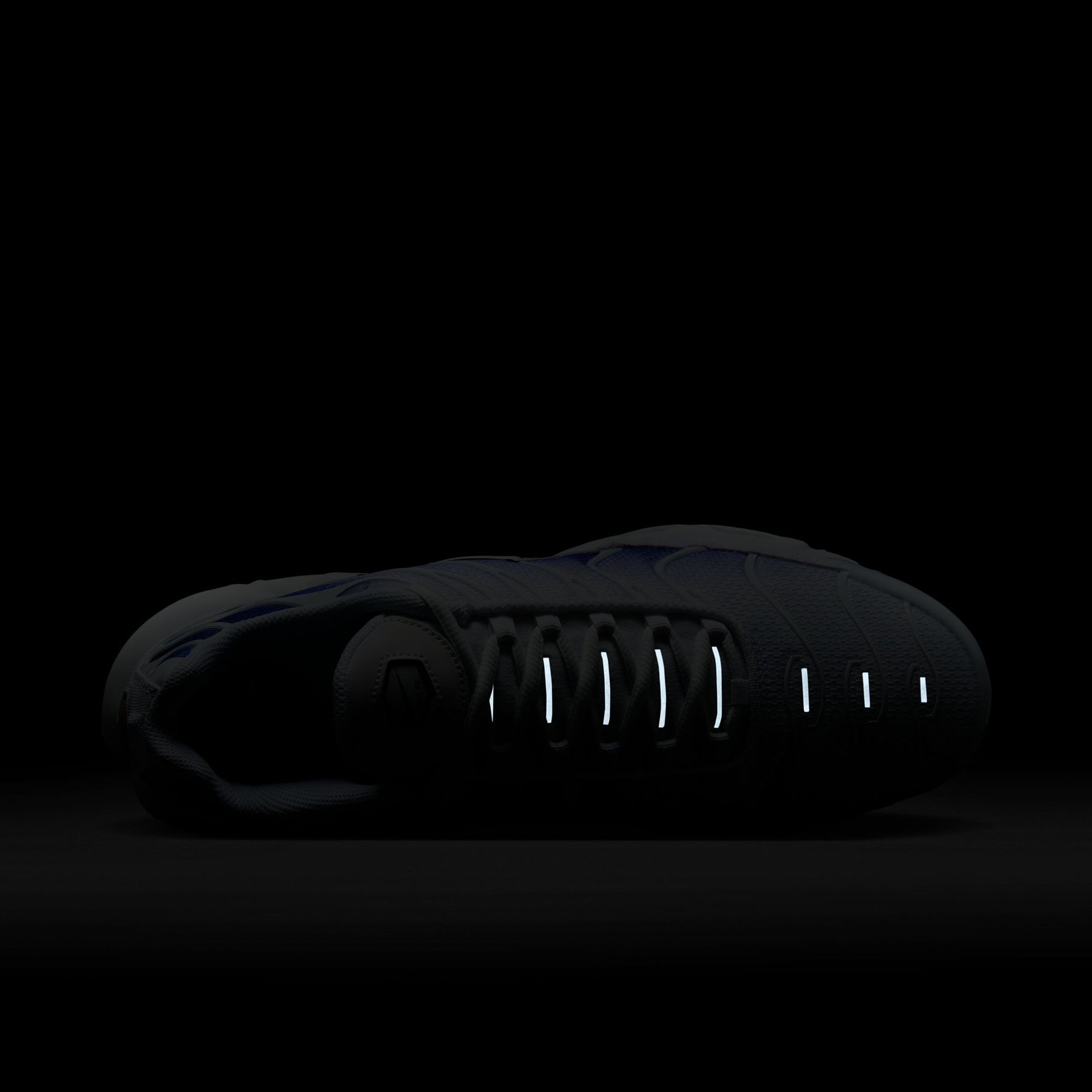 Giày Thể Thao Thời Trang Nam Nike Air Max Plus