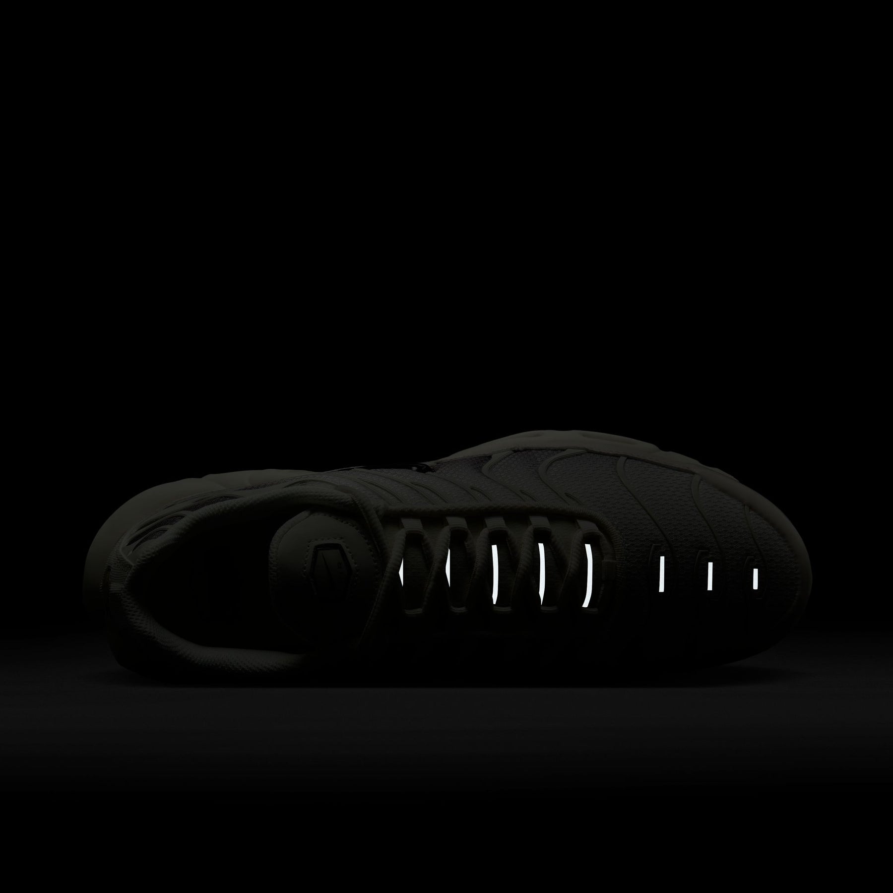 Giày Thể Thao Thời Trang Nam Nike Air Max Plus