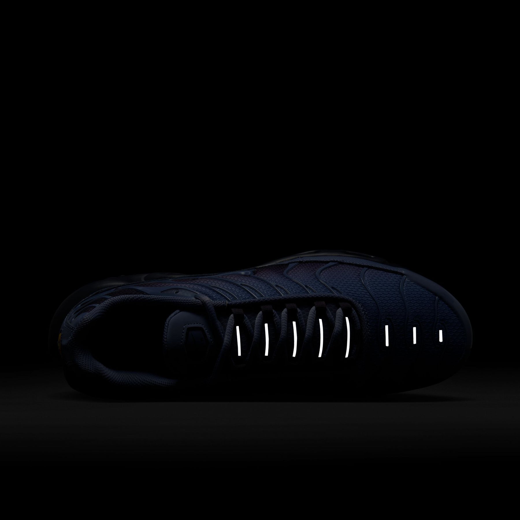 Giày Thể Thao Thời Trang Nam Nike Air Max Plus