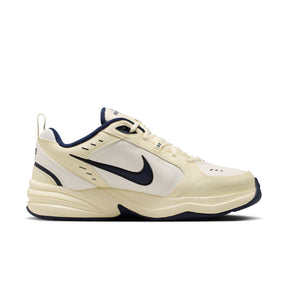 Giày Thể Thao Tập Luyện Nam NIKE Air Monarch IV