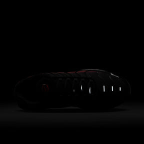 Giày Thể Thao Thời Trang Nam Nike Air Max Plus