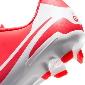 Giày Thể Thao Bóng Đá Sân Cỏ Tự Nhiên Nam Nike Legend 10 Club Fg/Mg