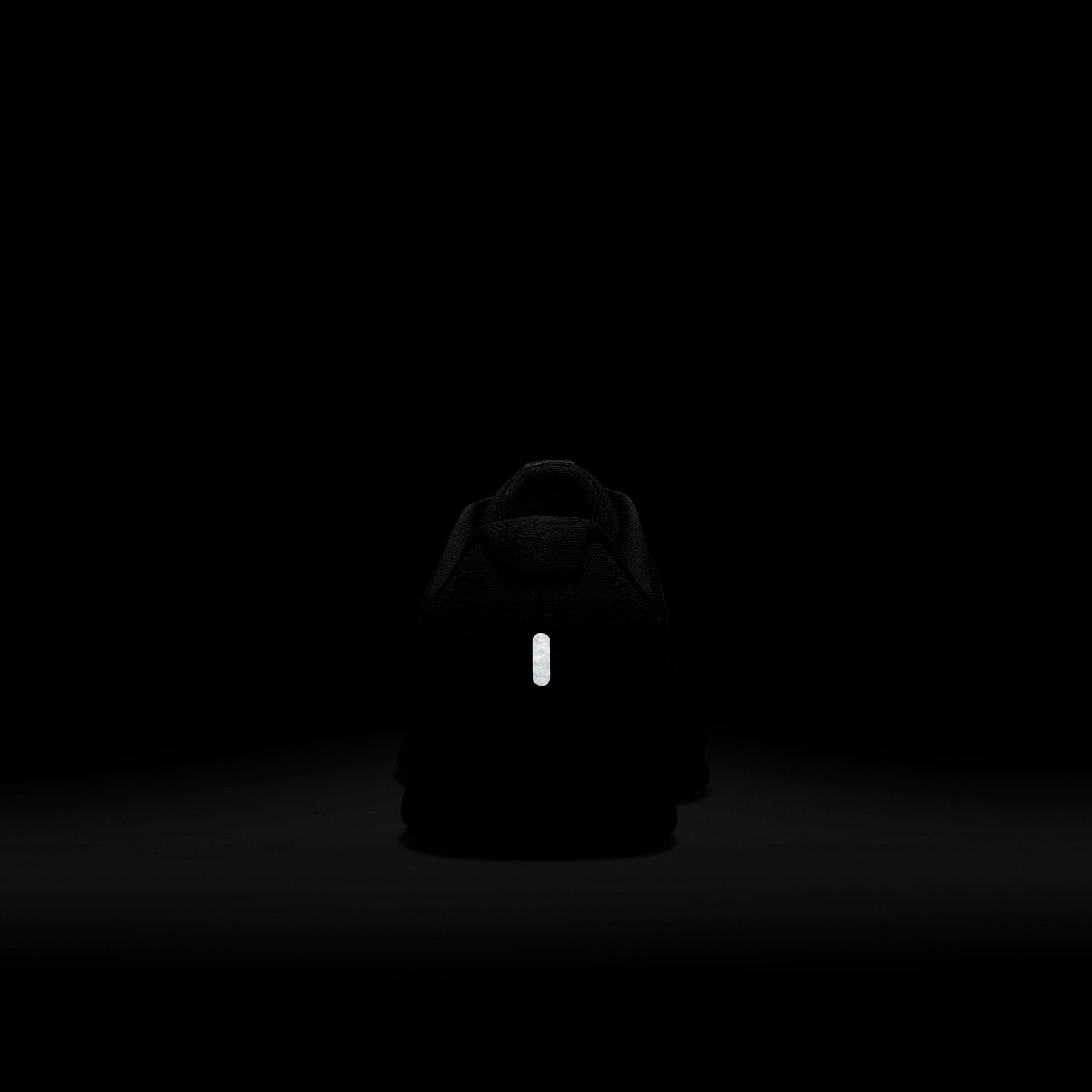 Giày Thể Thao Chạy Bộ Nam Nike Downshifter 13 Wide