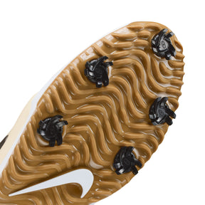 Giày Golf Nam Nike Victory Pro 4