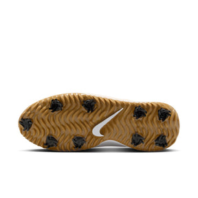Giày Golf Nam Nike Victory Pro 4