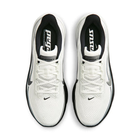 Giày Thể Thao Chạy Bộ Nam Nike Air Zoom Pegasus 42 Rr