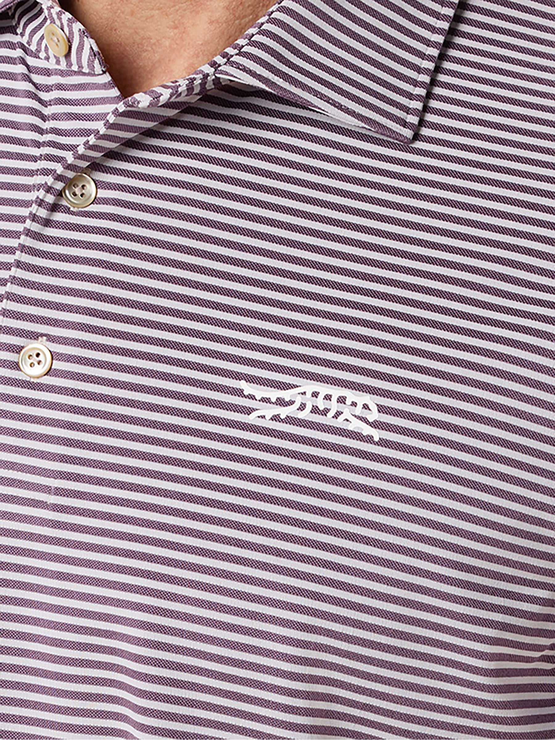 Áo Polo Golf Nam Sun Day Red Cypress Graphicstrpeviolet