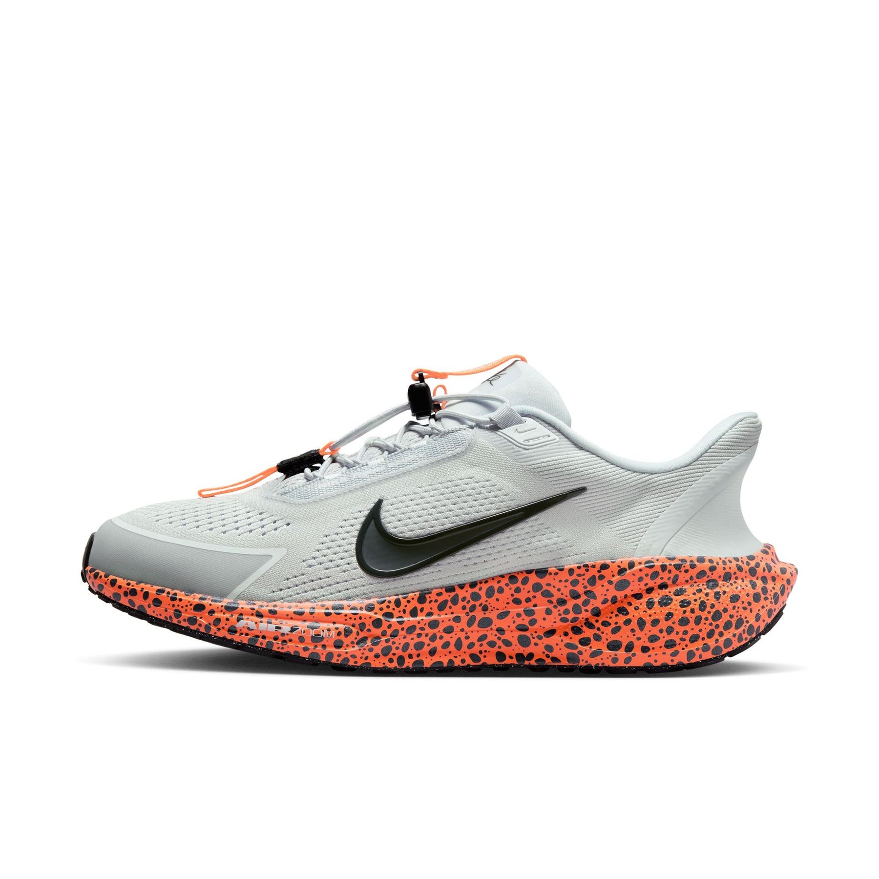 Giày Chạy Bộ Nam Nike Pegasus Easyon Oly