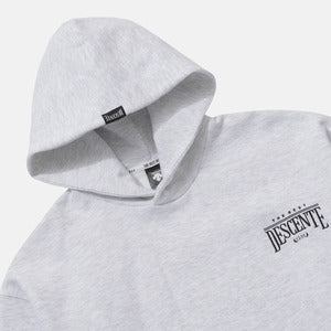 Áo Thể Thao DESCENTE Unisex The Best Wording Hood T-Shirts