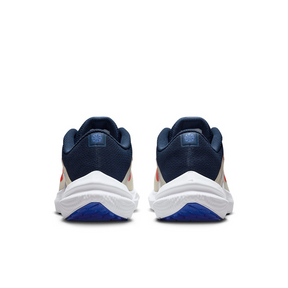 Giày Thể Thao Chạy Bộ Nam Nike Air Winflo 10